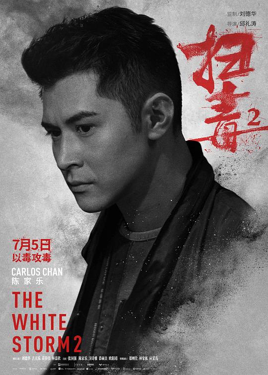 The White Storm 2: Drug Lords Hong Kong Movie